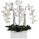 Kwiat WHITE ORCHID MARBLE